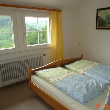Naturnahe Ferienwohnung In Erholsamer Lage Fuer Besinnlichen Urlaub Im Schwarzwald - B56014 Apartman