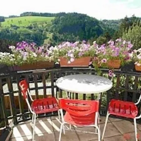 Naturnahe Ferienwohnung In Erholsamer Lage Fuer Besinnlichen Urlaub Im Schwarzwald - B56014 * Mühlenbach