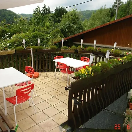 Apartman Naturnahe Ferienwohnung In Erholsamer Lage Fuer Besinnlichen Urlaub Im Schwarzwald - B56014 Mühlenbach